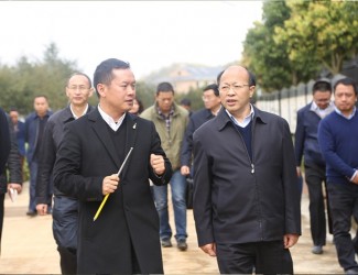 云南省委常委、副書記李秀領(lǐng)一行到苗鄉(xiāng)三七科技示范園考察調(diào)研