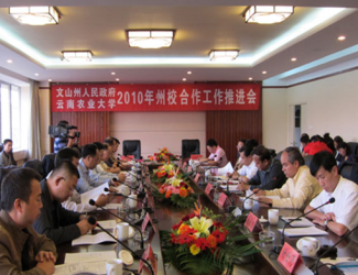 苗鄉(xiāng)三七與云南農(nóng)大簽署校企合作協(xié)議，構(gòu)建了戰(zhàn)略聯(lián)盟關系