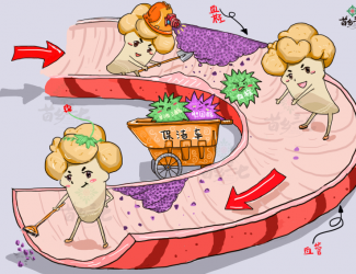 血瘀體質(zhì)的表現(xiàn)與癥狀，如何用三七活血化瘀