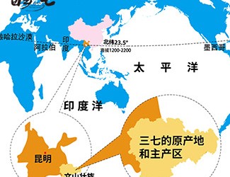 三七產(chǎn)地哪里的最好，廣西田七與云南三七有何區(qū)別