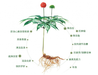 三七救人無國(guó)界，美軍飛行員曾受益