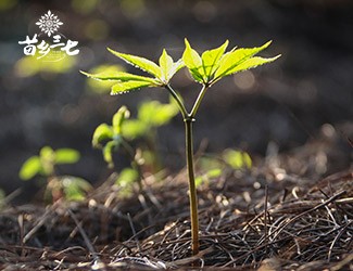 淺談二十四節(jié)氣與疾病的關系，節(jié)氣變化如何養(yǎng)生