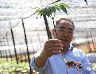張伯禮院士這樣說三七！