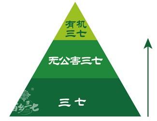 三七有幾個等級？分級依據(jù)是什么？