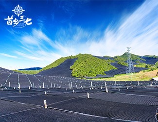 慢性咽炎怎么辦，秋季養(yǎng)生有妙招