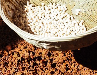 三七的一生——建棚、播種（二）