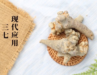 三七的功效作用在現(xiàn)代臨床中的應(yīng)用，揭秘醫(yī)生如何用三七治病