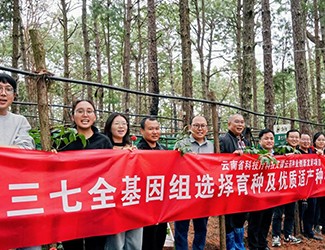 無(wú)數(shù)次從零到一，無(wú)數(shù)人前赴后繼守護(hù)三七“種業(yè)芯片”