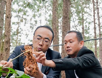 三七良種喜獲豐收，實(shí)現(xiàn)產(chǎn)量含量雙突破！