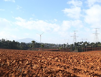 三七土壤危機(jī)何解？官會(huì)林教授開(kāi)出“生態(tài)藥方”