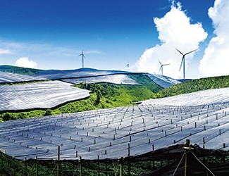 董林林博士如何看待苗鄉(xiāng)全產(chǎn)業(yè)鏈品控管理體系？